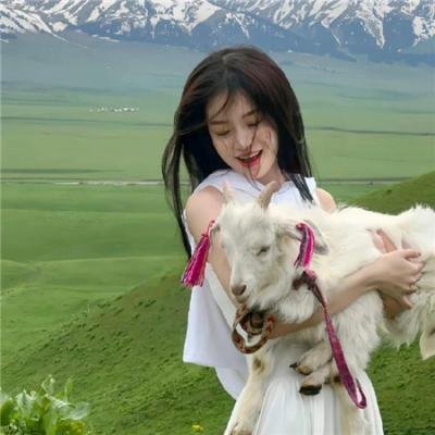 狮子军龙虎鬪