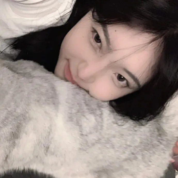 完美革命